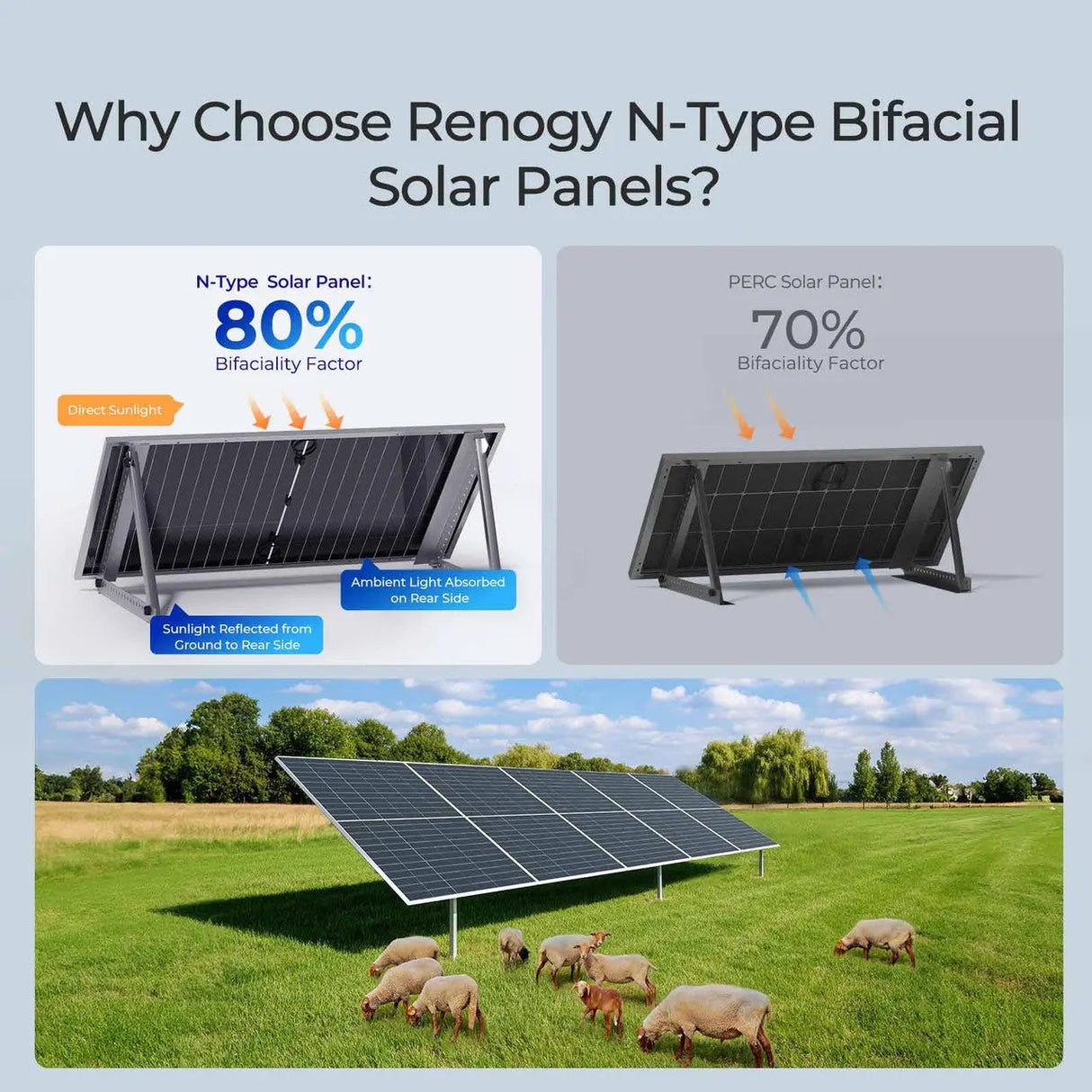 590W N-Type Bifacial Solar Panel(2-Pack)
