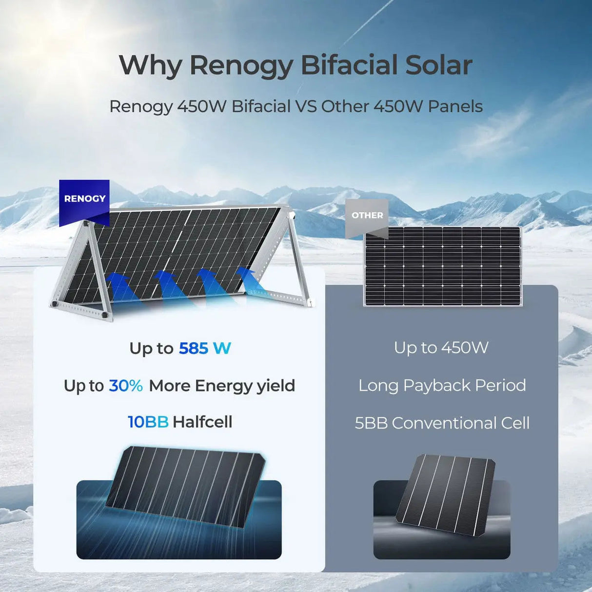 450W Bifacial Solar Panel(2-Pack)