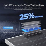 590W N-Type Bifacial Solar Panel（2-Pack）