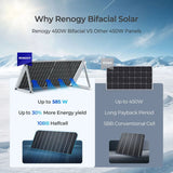 450W Bifacial Solar Panel（2-Pack）