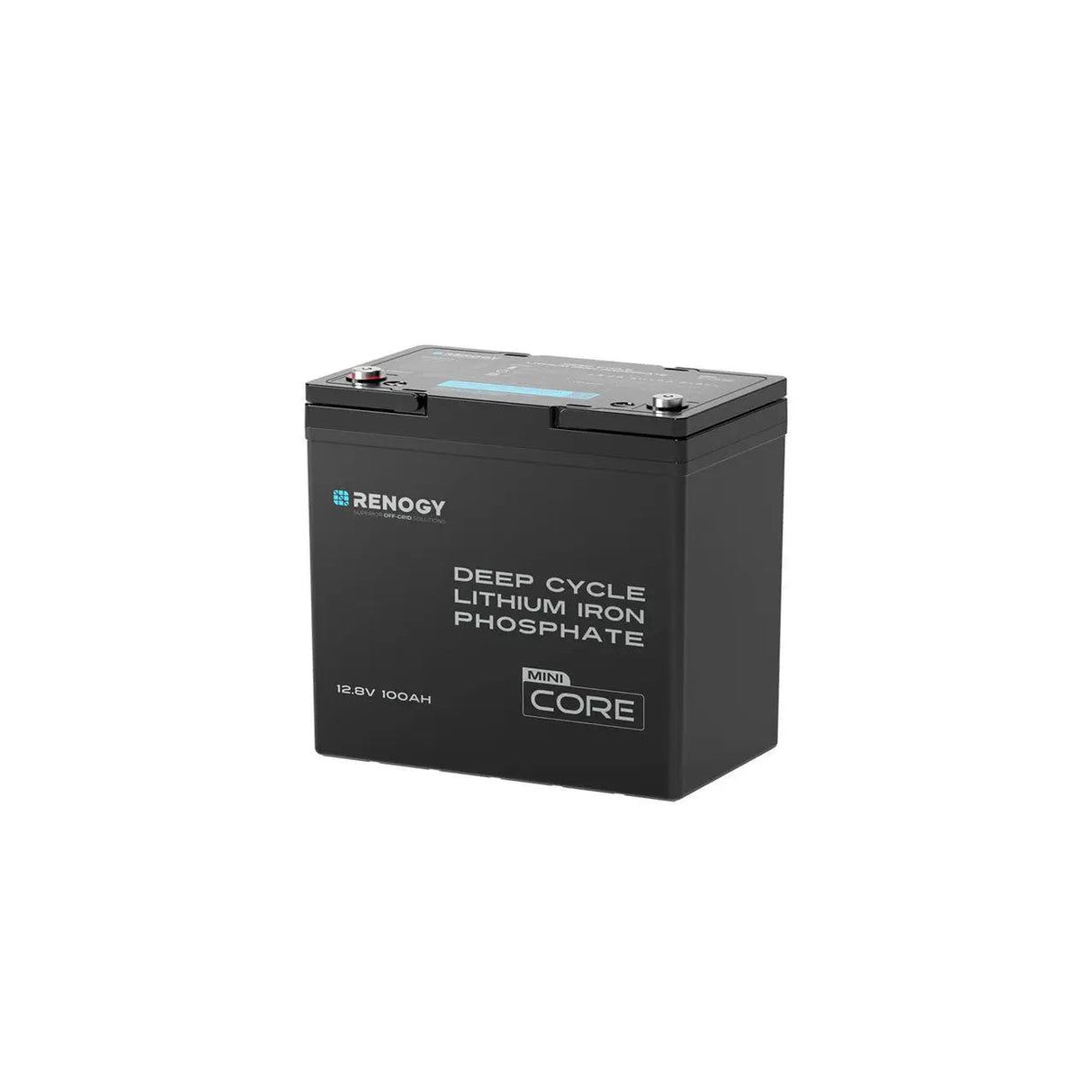 Mini Size 12.8V 100Ah Lithium Iron Phosphate Battery