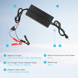 12V 20A/24V 10A AC-to-DC LFP Portable Battery Charger