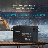 12V 200Ah LiFePO4 Battery w/ Low-Temperature Protection
