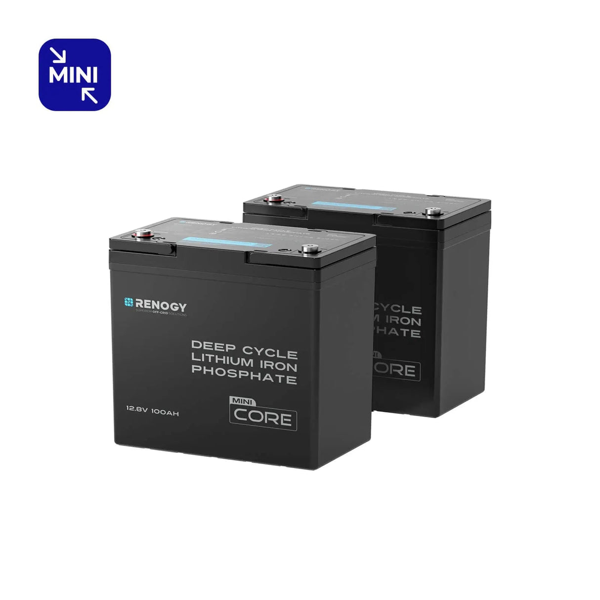 Mini Size 12.8V 100Ah Lithium Iron Phosphate Battery
