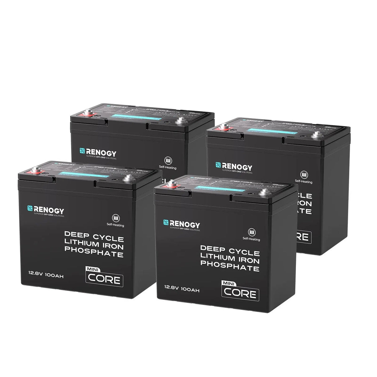 Mini Size 12V 100Ah DuoHeat Tech Lithium Iron Phosphate Battery