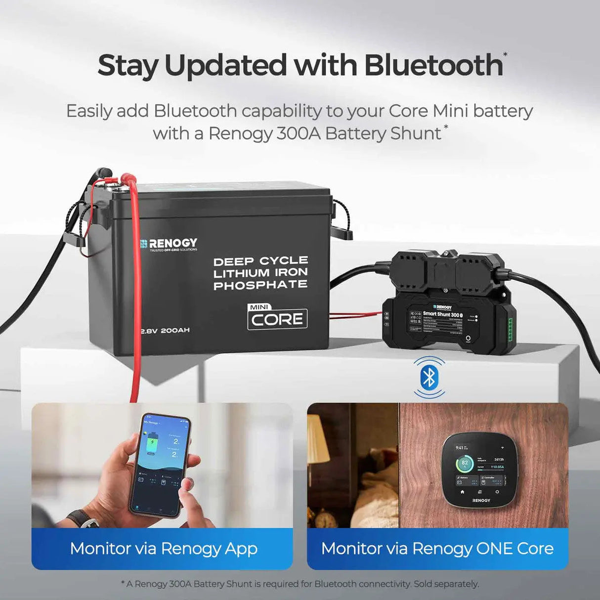 12V 200Ah LiFePO4 Battery w/ Low-Temperature Protection