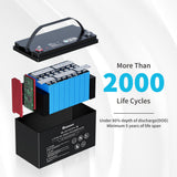 Refurbished 12V 100Ah Lithium Iron Phosphate Battery w/ Bluetooth