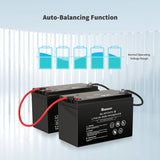 Refurbished 12V 100Ah Lithium Iron Phosphate Battery w/ Bluetooth