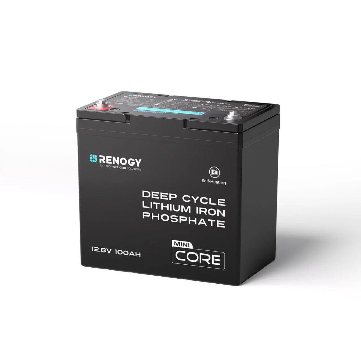 Mini Size 12V 100Ah DuoHeat Tech Lithium Iron Phosphate Battery