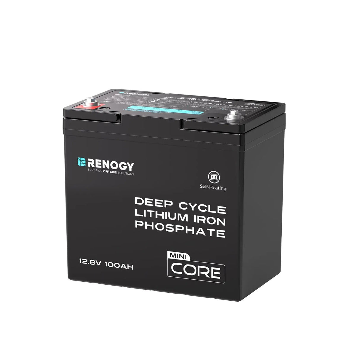 Mini Size 12.8V 100Ah Lithium Iron Phosphate Battery