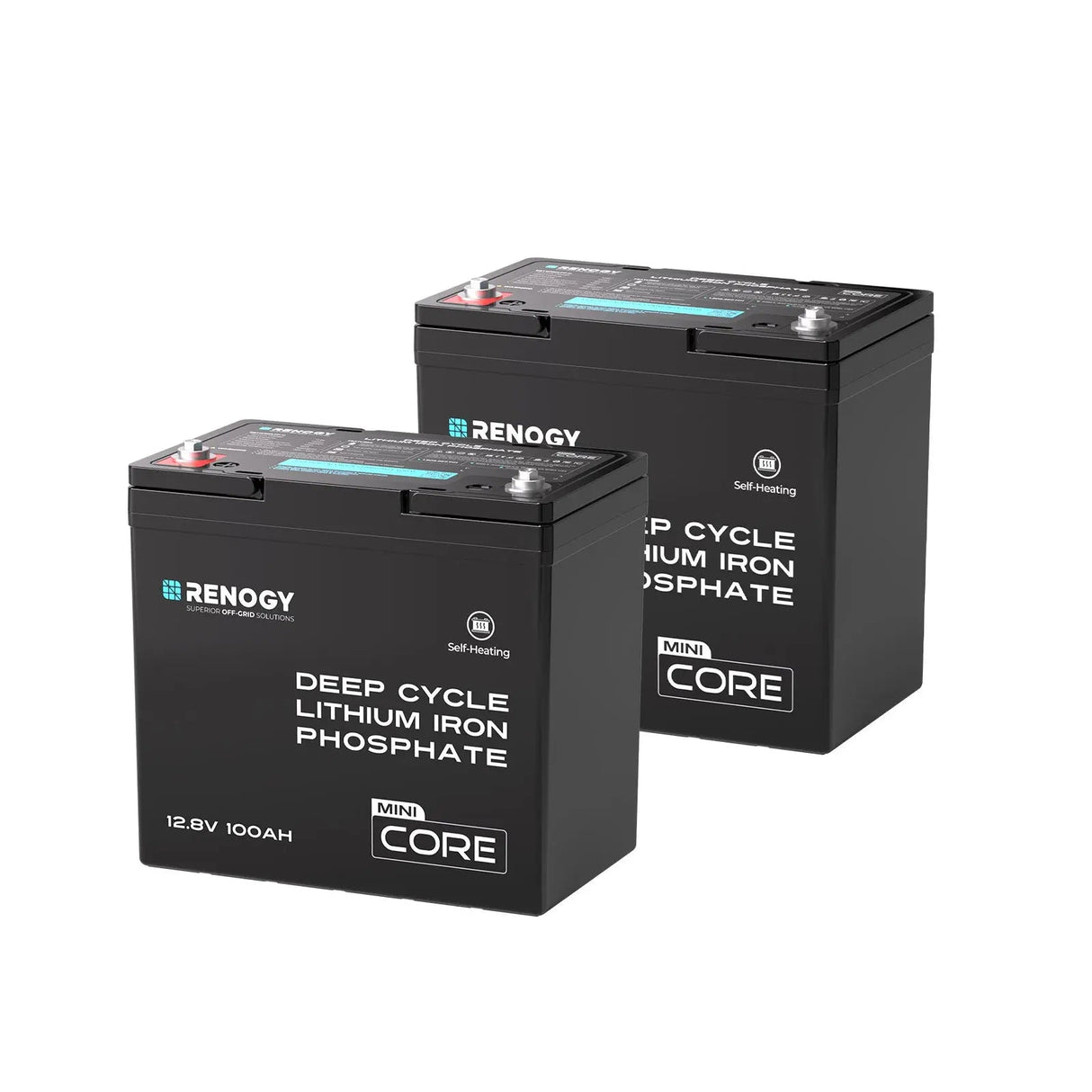 Mini Size 12.8V 100Ah Lithium Iron Phosphate Battery