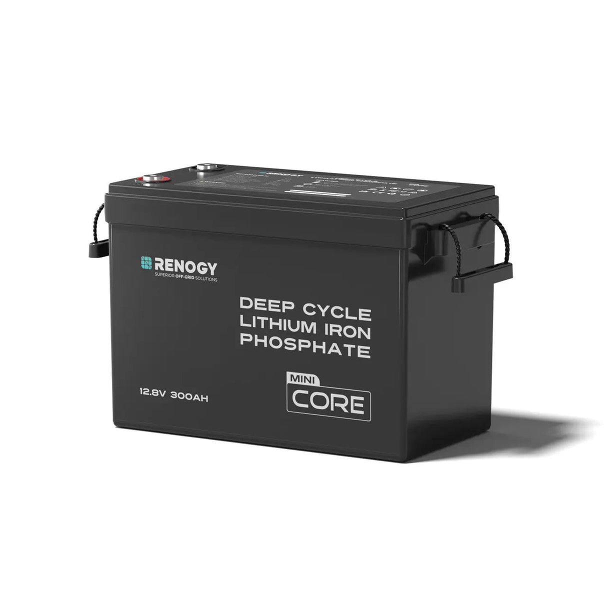 12V 300Ah LiFePO4 Battery w/ Low-Temperature Protection