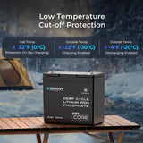 Mini Size 12.8V 100Ah Lithium Iron Phosphate Battery